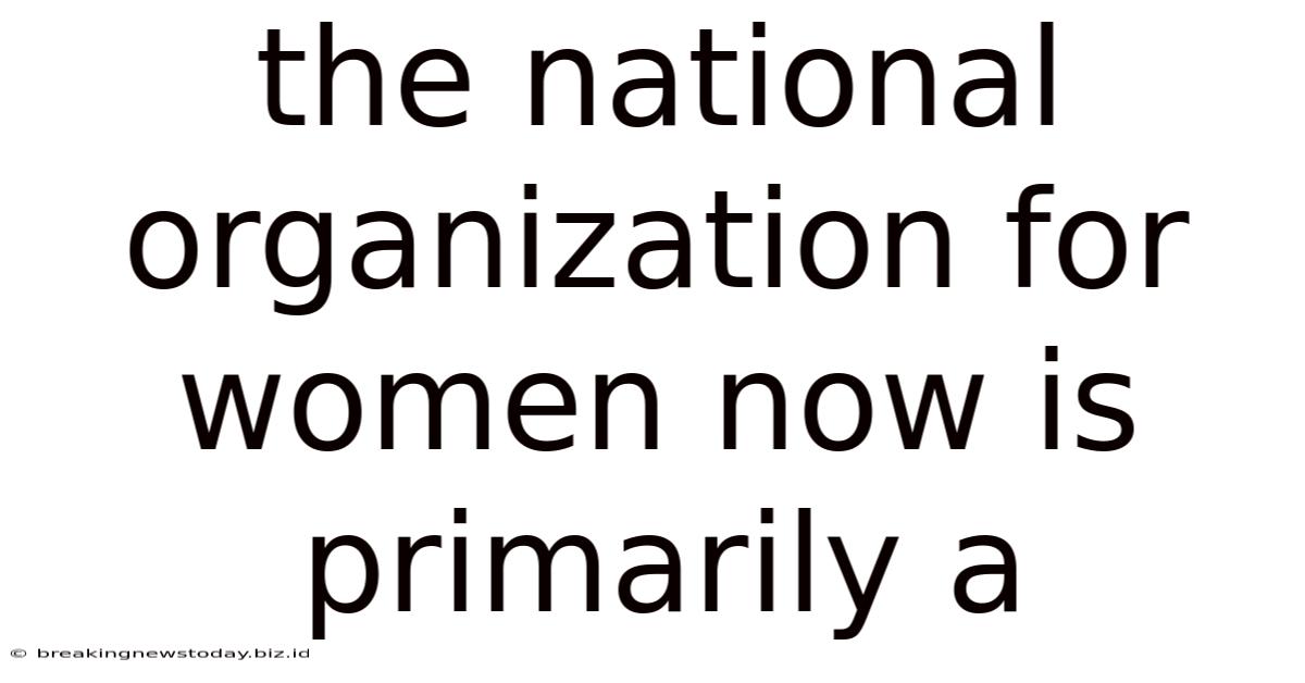 The National Organization For Women Now Is Primarily A