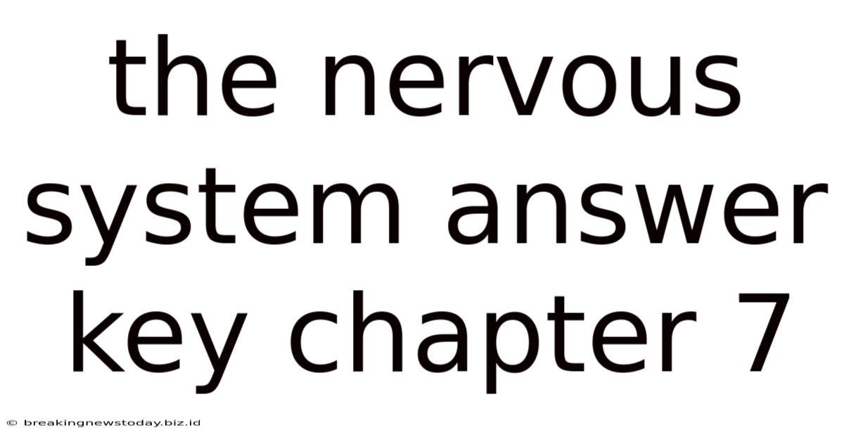 The Nervous System Answer Key Chapter 7