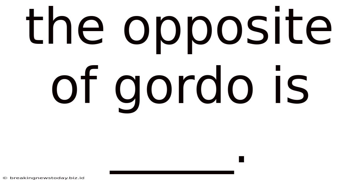 The Opposite Of Gordo Is _____.
