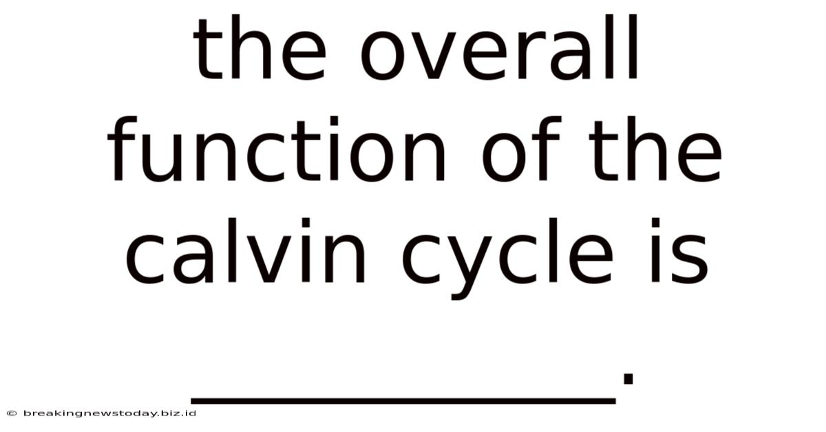The Overall Function Of The Calvin Cycle Is __________.