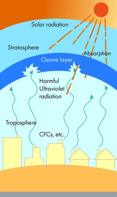 The Ozone Layer Helps To Sustain Terrestrial Life By __________.