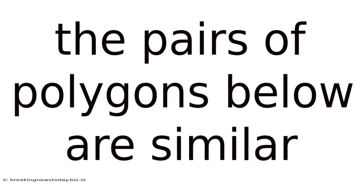 The Pairs Of Polygons Below Are Similar