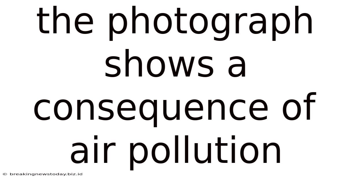 The Photograph Shows A Consequence Of Air Pollution