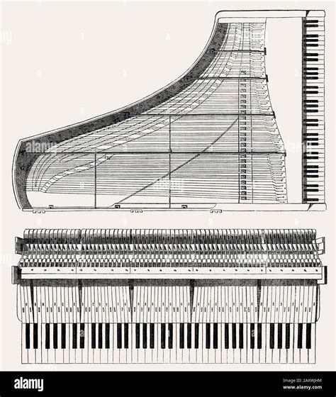 The Piano Experienced Minor Technical Improvements During The Nineteenth Century