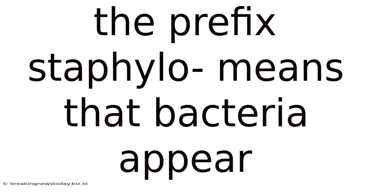 The Prefix Staphylo- Means That Bacteria Appear