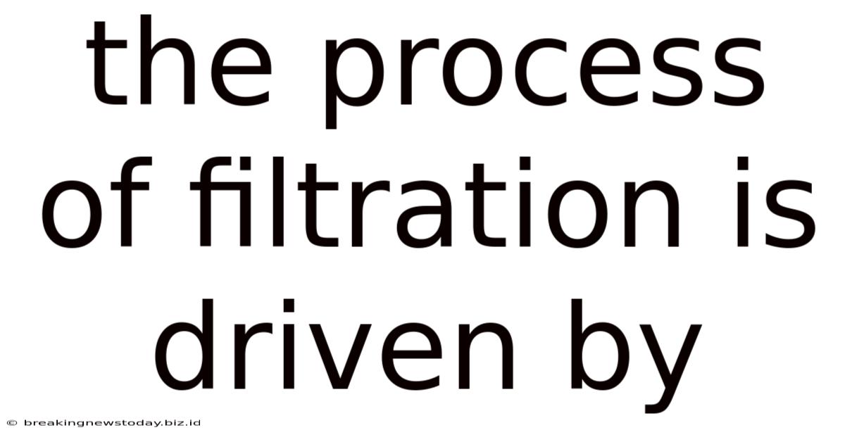 The Process Of Filtration Is Driven By