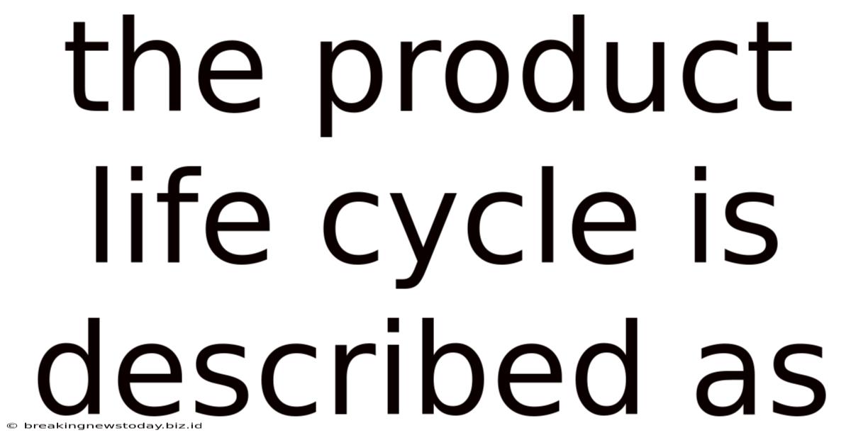The Product Life Cycle Is Described As