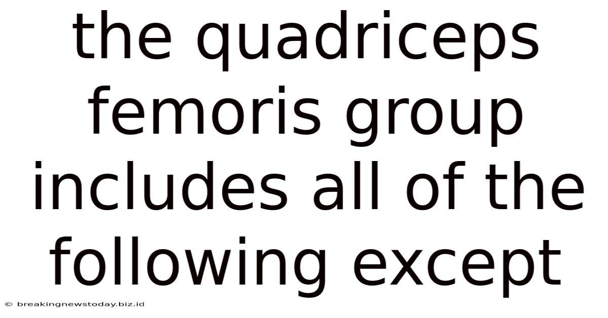 The Quadriceps Femoris Group Includes All Of The Following Except