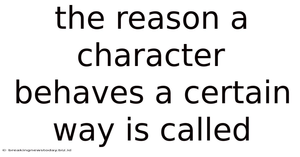 The Reason A Character Behaves A Certain Way Is Called