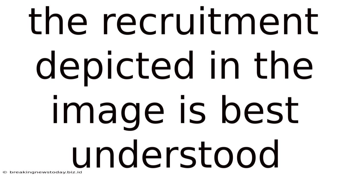 The Recruitment Depicted In The Image Is Best Understood