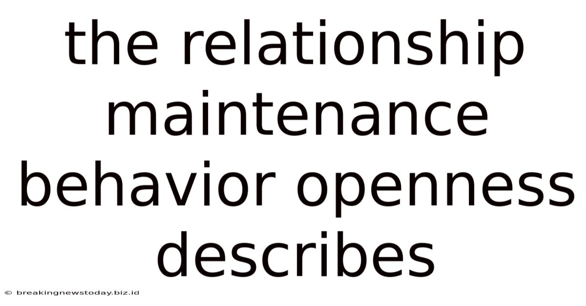The Relationship Maintenance Behavior Openness Describes