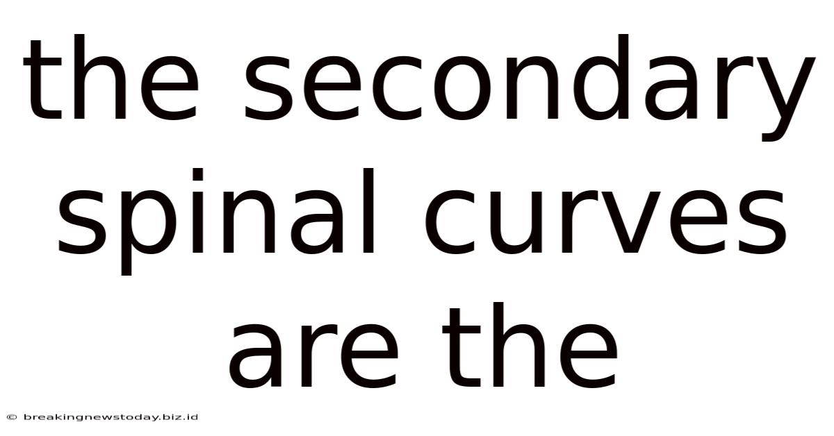 The Secondary Spinal Curves Are The