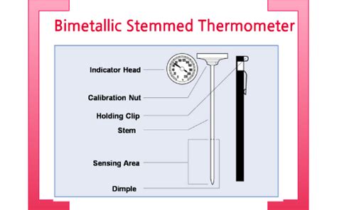 The Sensing Portion Of A Bi Metallic Stem Thermometer Is