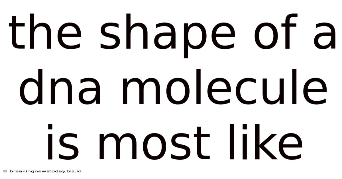 The Shape Of A Dna Molecule Is Most Like