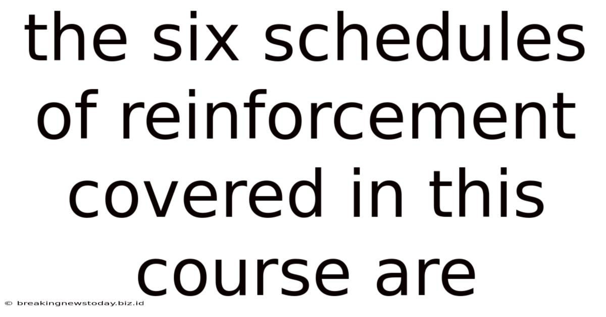 The Six Schedules Of Reinforcement Covered In This Course Are