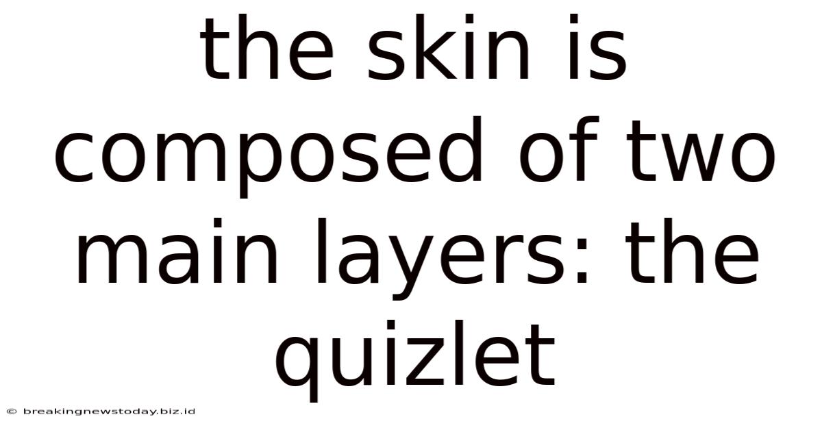 The Skin Is Composed Of Two Main Layers: The Quizlet