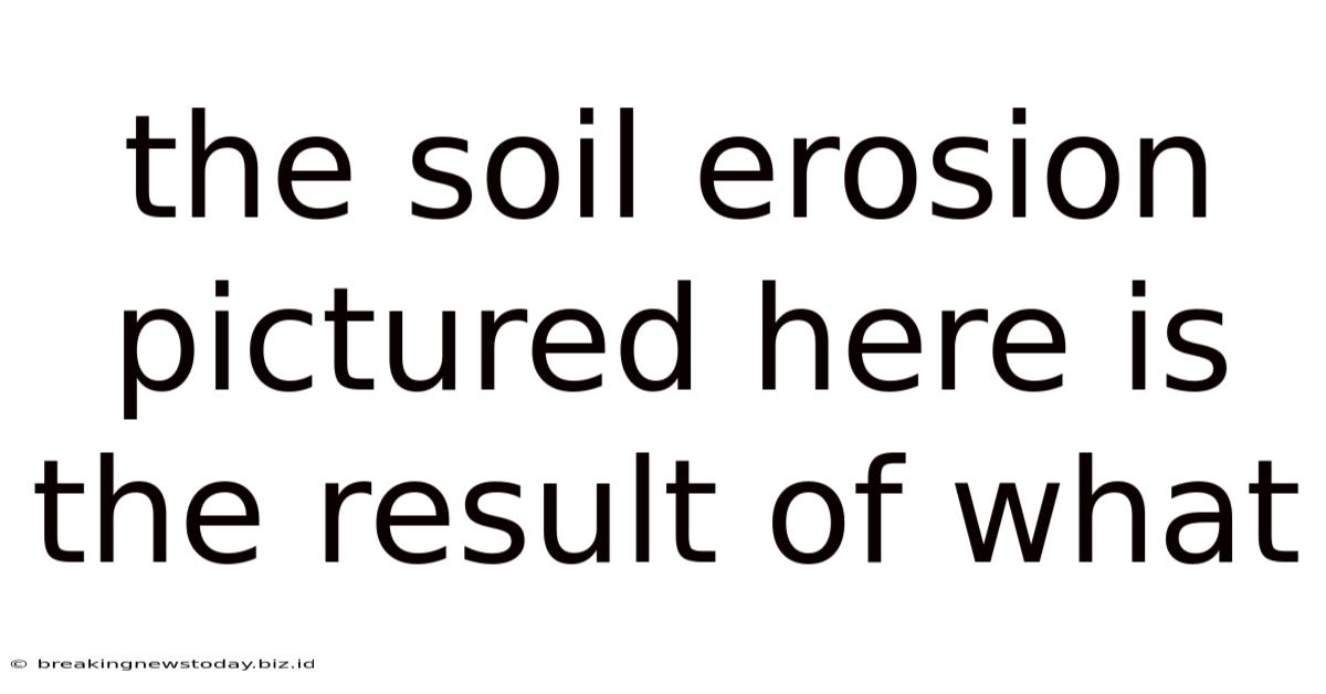 The Soil Erosion Pictured Here Is The Result Of What