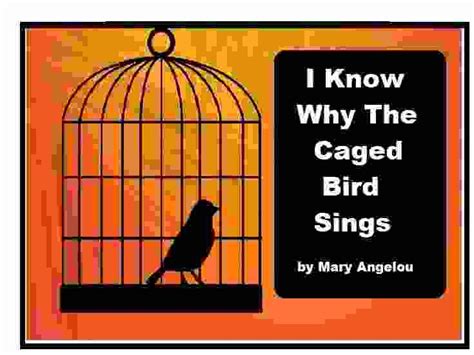 The Stanza Best Supports A Tone Of The Caged Bird