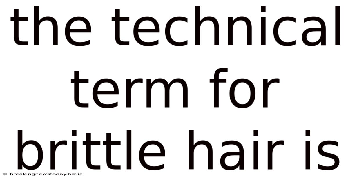The Technical Term For Brittle Hair Is