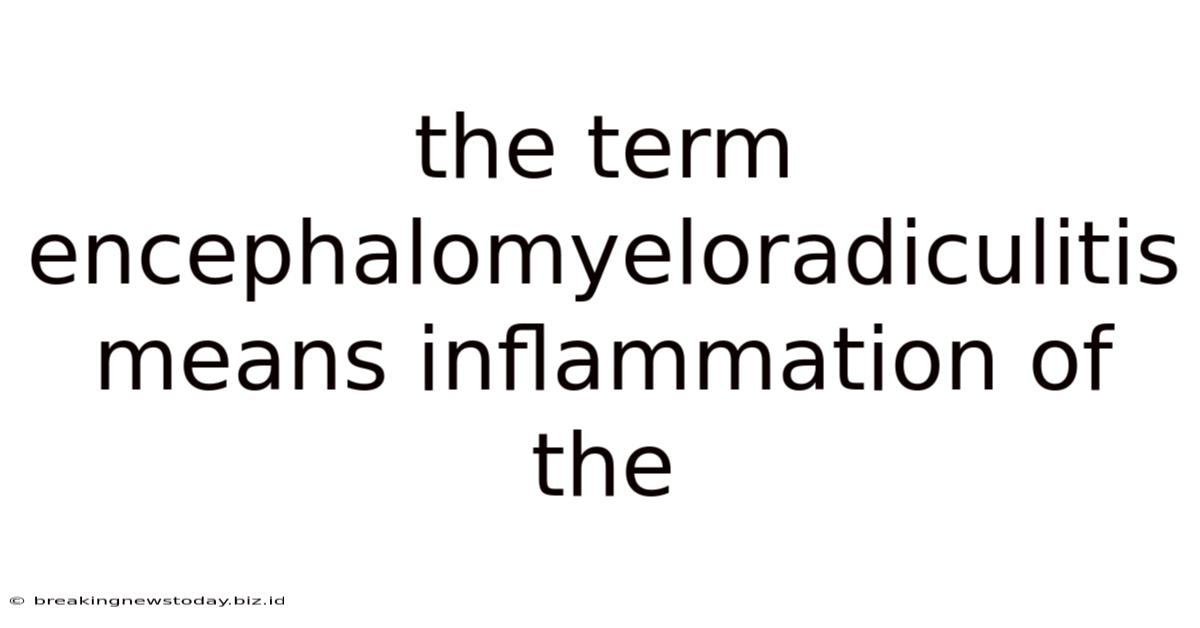 The Term Encephalomyeloradiculitis Means Inflammation Of The