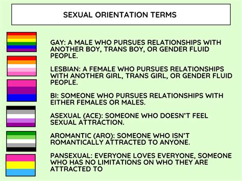 The Term Sexual Orientation Can Be Defined As