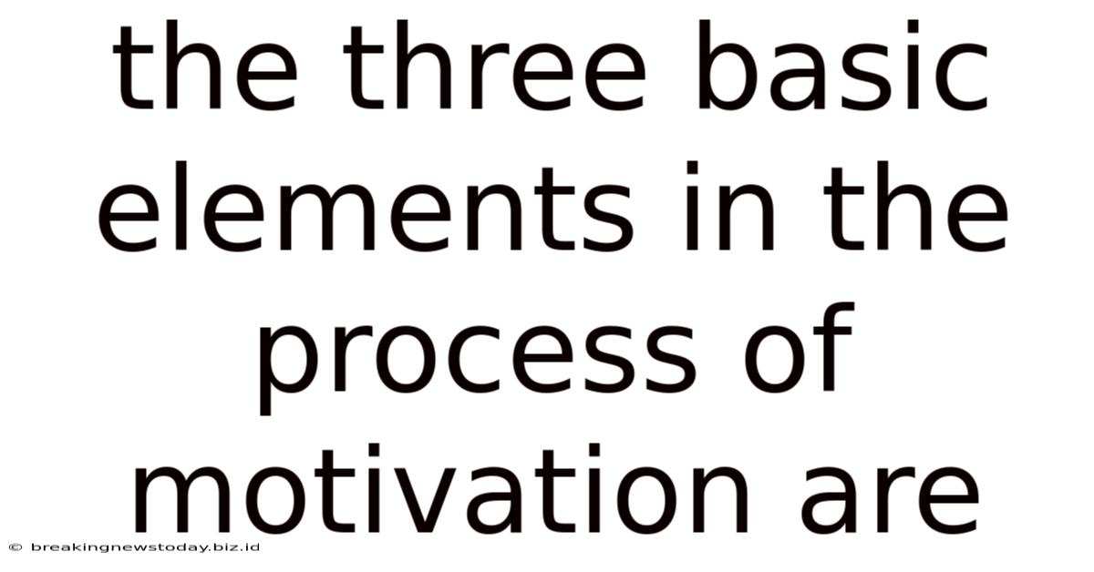 The Three Basic Elements In The Process Of Motivation Are