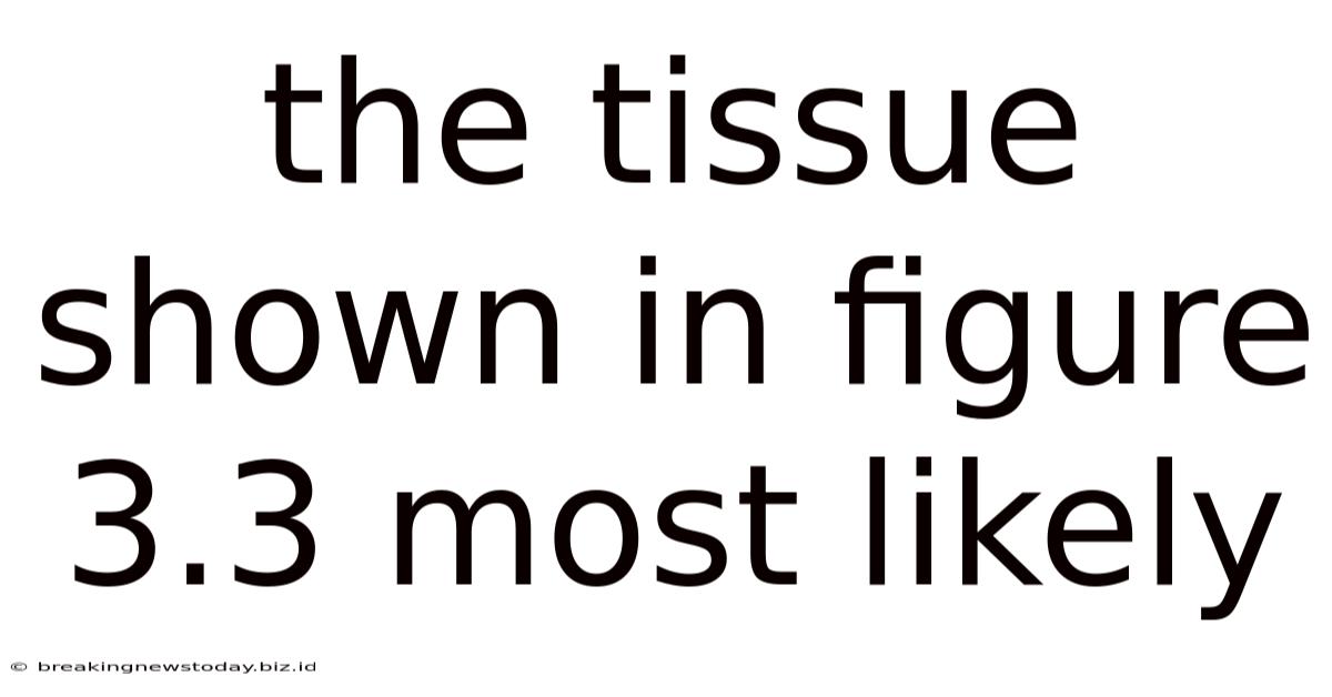 The Tissue Shown In Figure 3.3 Most Likely