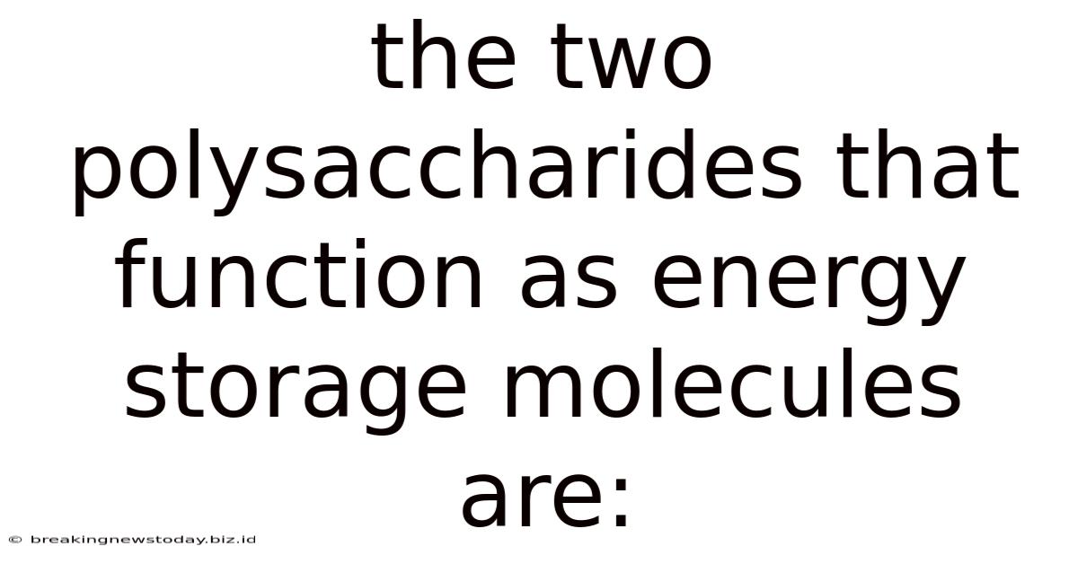 The Two Polysaccharides That Function As Energy Storage Molecules Are: