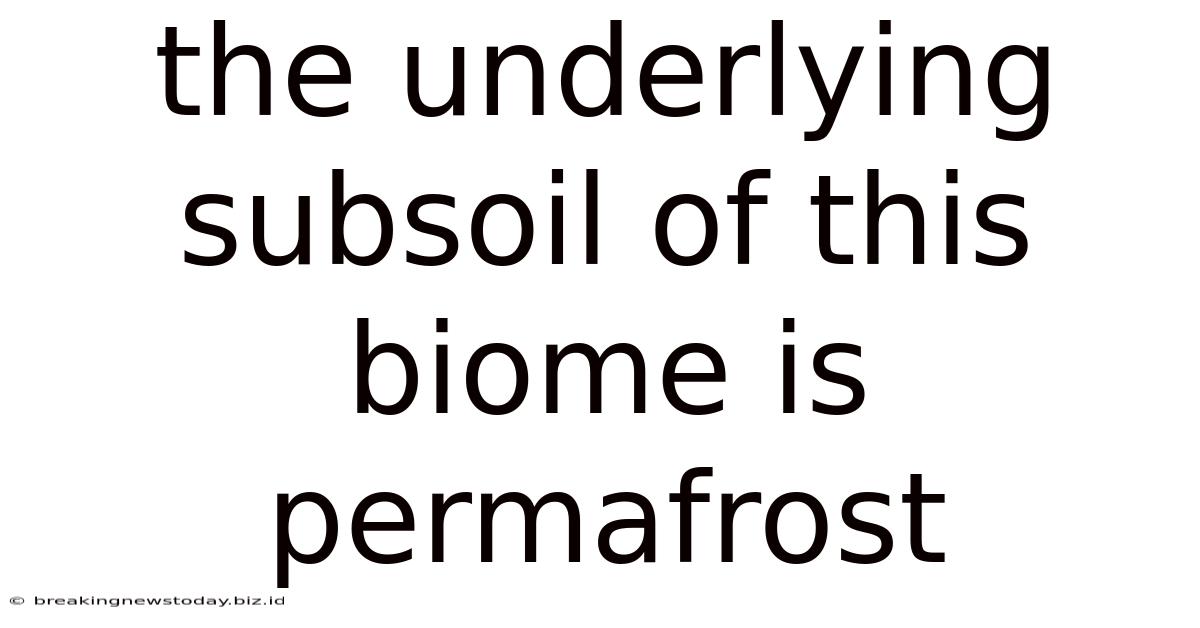 The Underlying Subsoil Of This Biome Is Permafrost