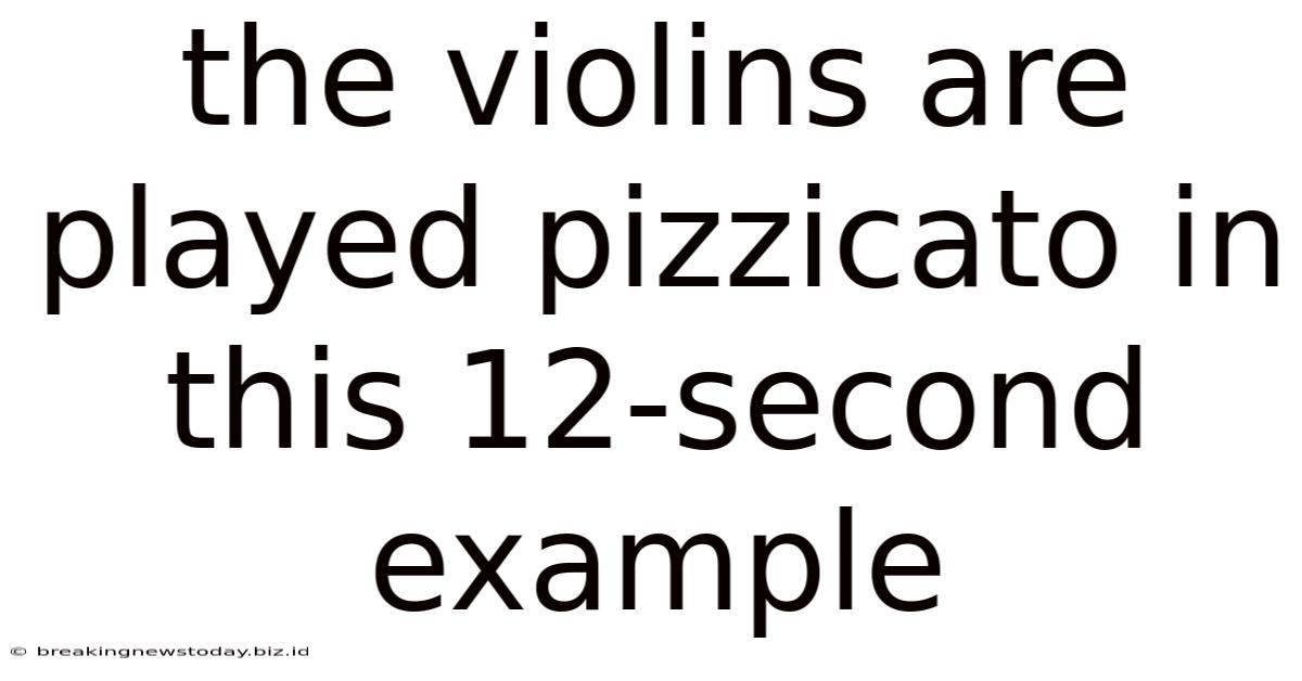 The Violins Are Played Pizzicato In This 12-second Example