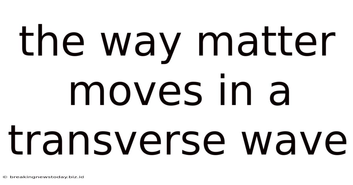 The Way Matter Moves In A Transverse Wave