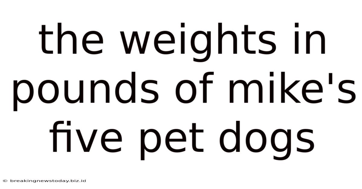The Weights In Pounds Of Mike's Five Pet Dogs