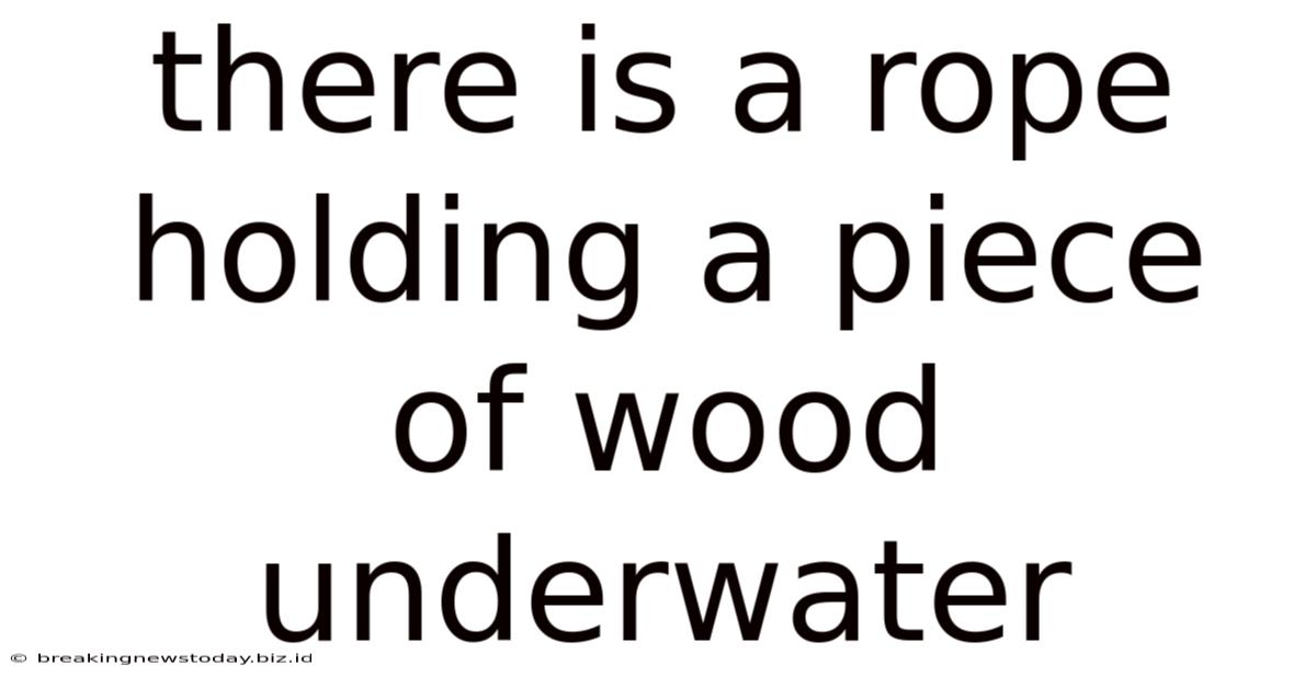 There Is A Rope Holding A Piece Of Wood Underwater