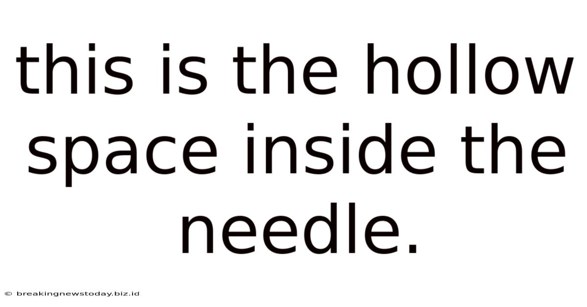 This Is The Hollow Space Inside The Needle.