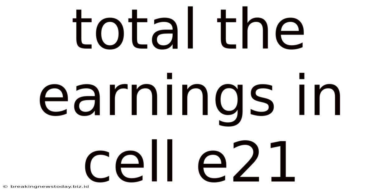 Total The Earnings In Cell E21