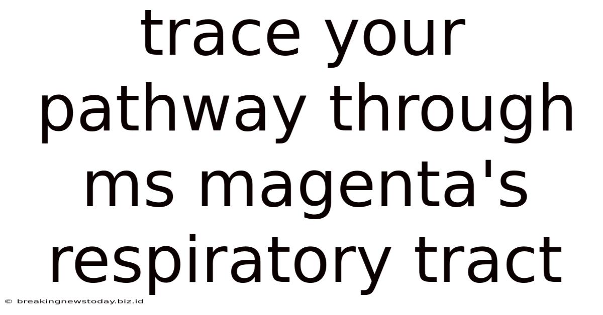 Trace Your Pathway Through Ms Magenta's Respiratory Tract