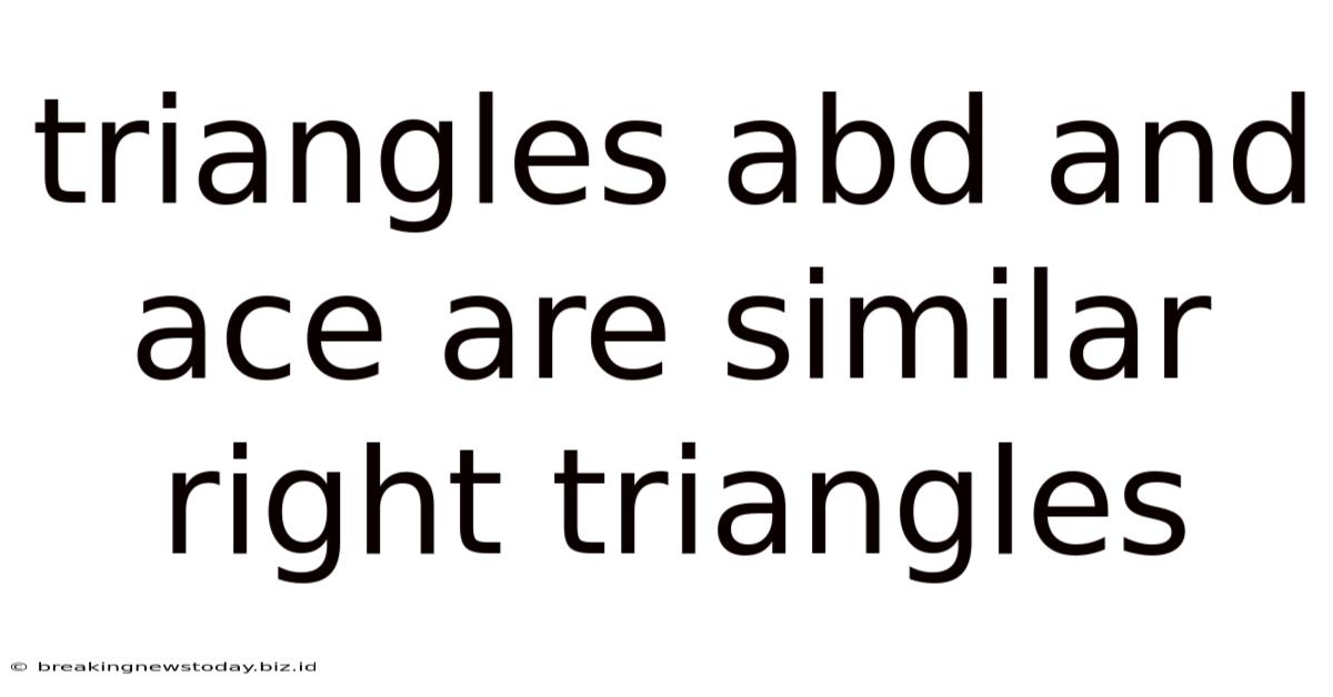 Triangles Abd And Ace Are Similar Right Triangles