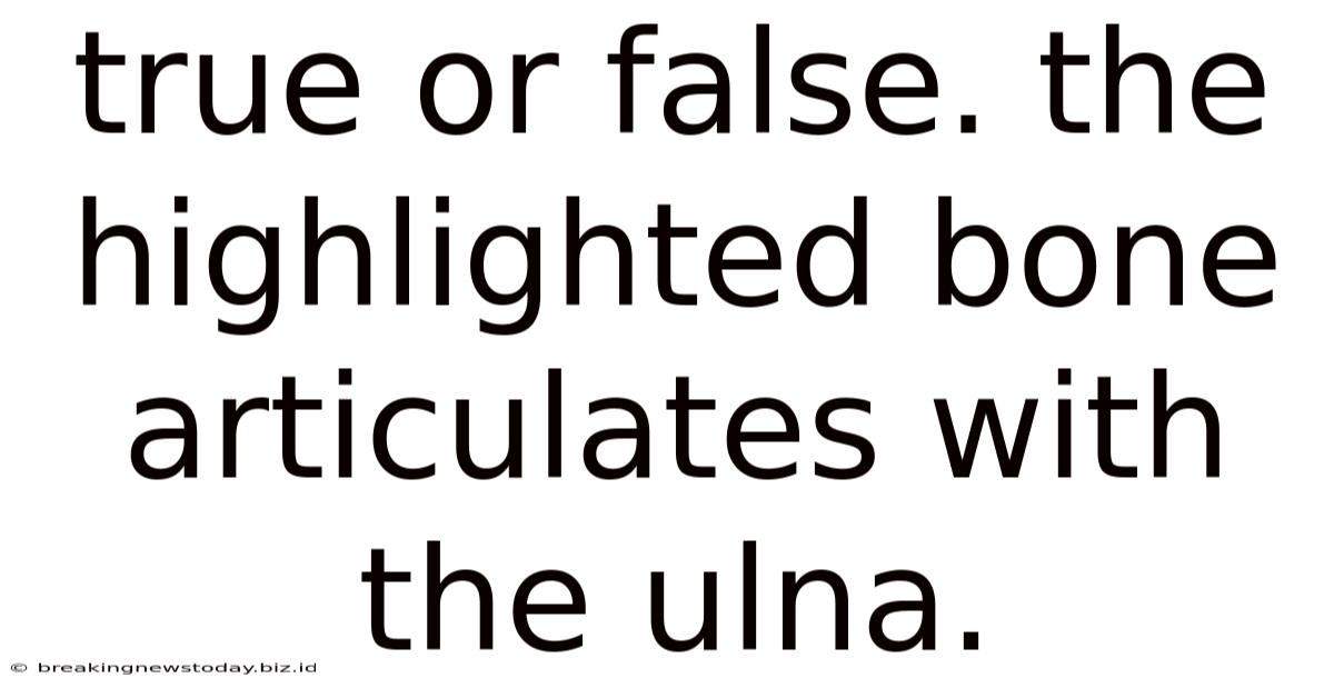 True Or False. The Highlighted Bone Articulates With The Ulna.