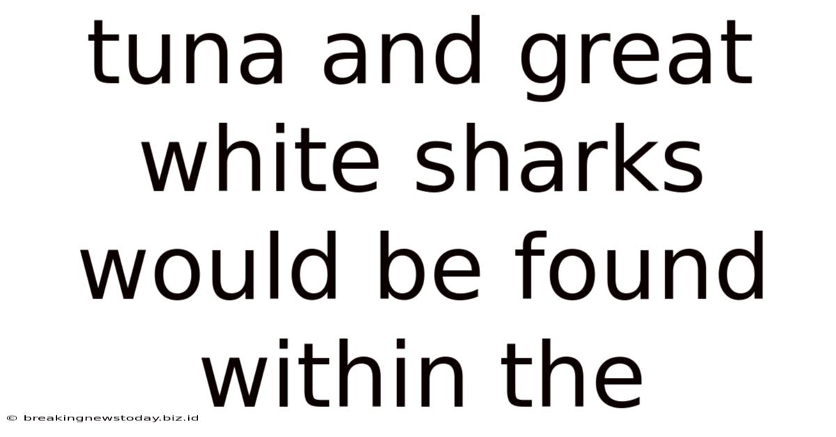 Tuna And Great White Sharks Would Be Found Within The