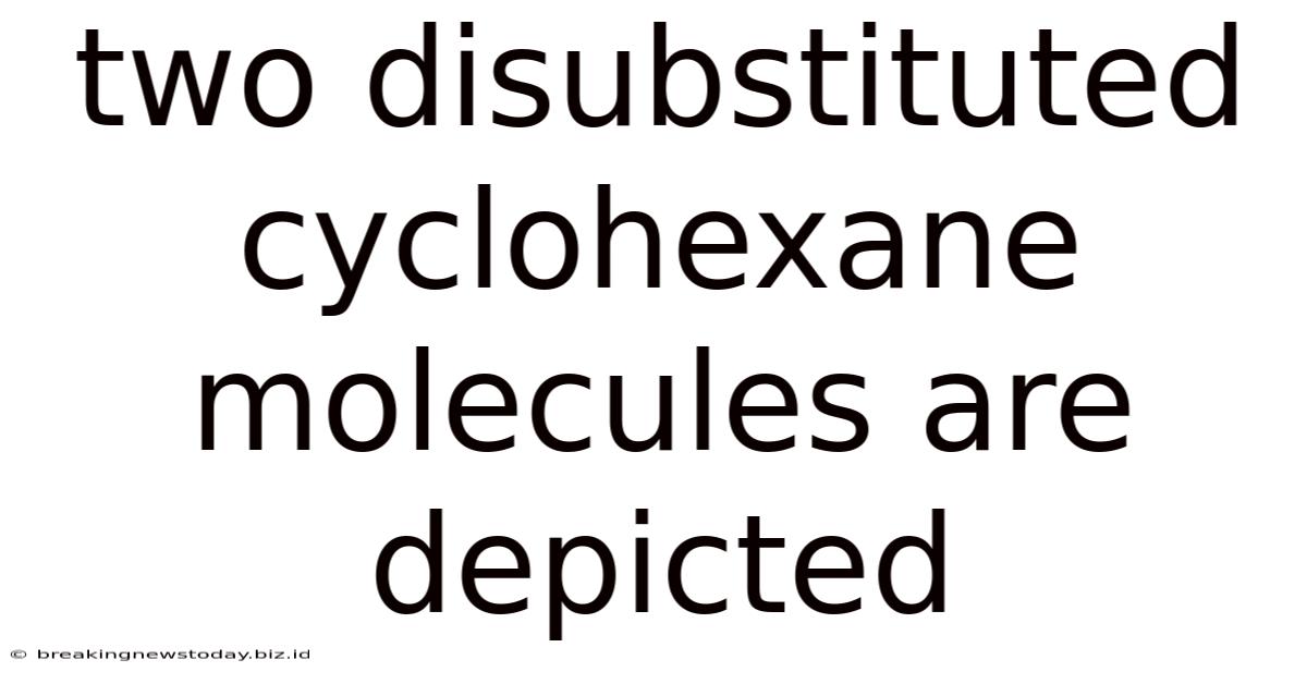 Two Disubstituted Cyclohexane Molecules Are Depicted