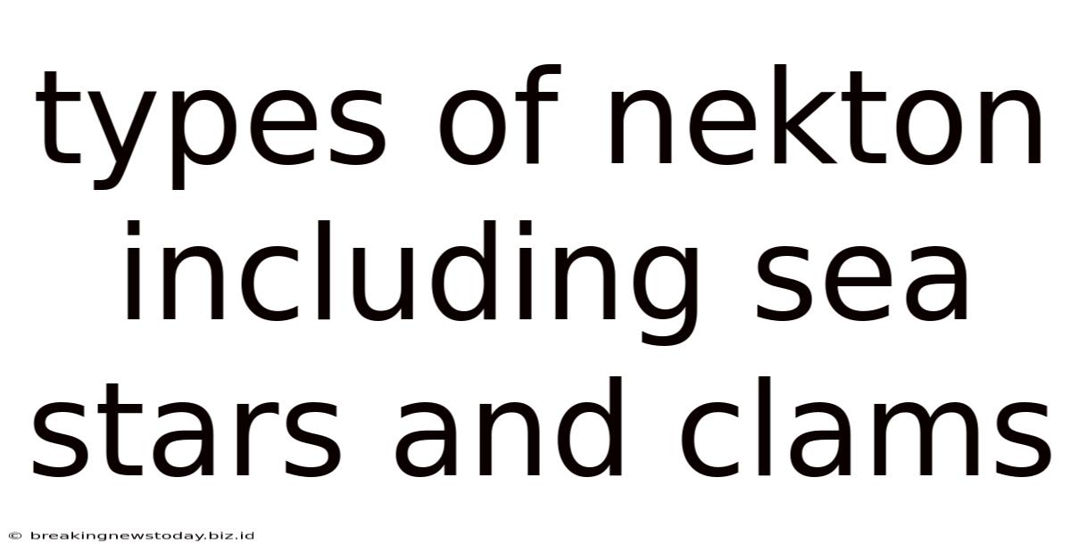 Types Of Nekton Including Sea Stars And Clams