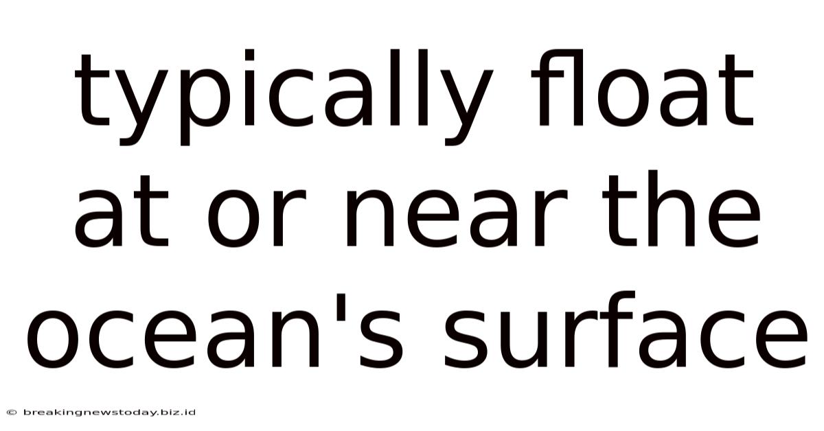 Typically Float At Or Near The Ocean's Surface