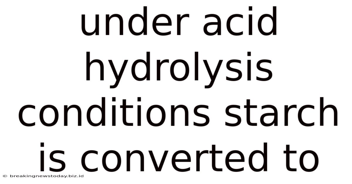 Under Acid Hydrolysis Conditions Starch Is Converted To
