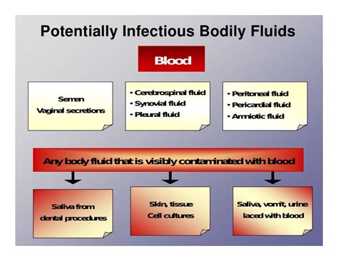 Urine Feces And Saliva Always Carry Bloodborne Pathogens