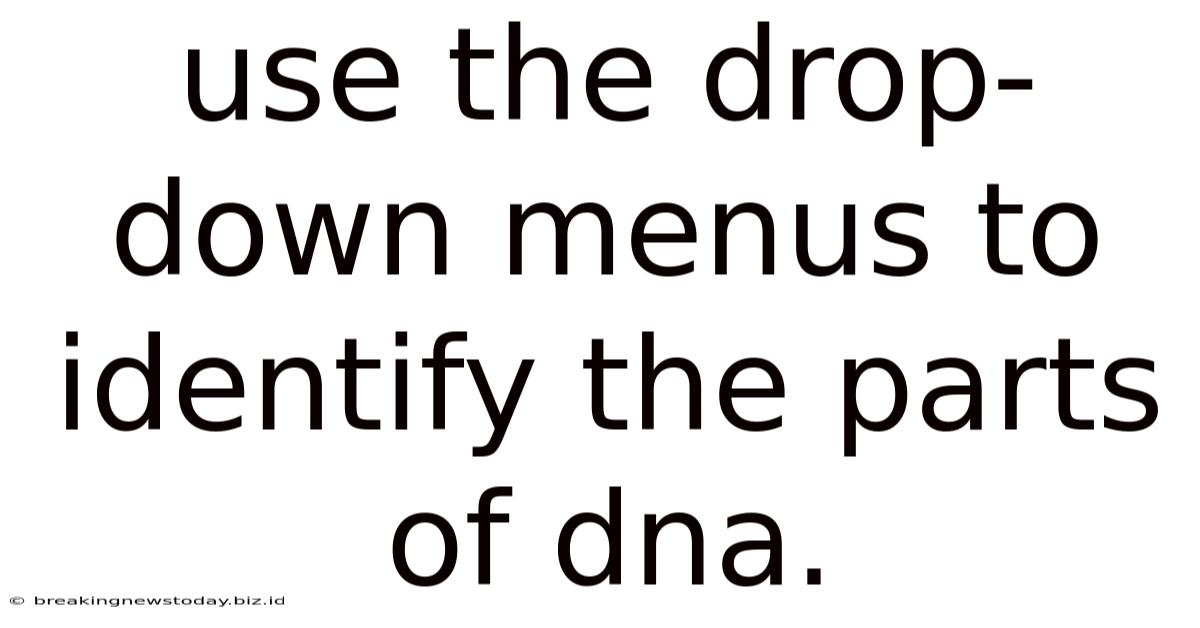 Use The Drop-down Menus To Identify The Parts Of Dna.