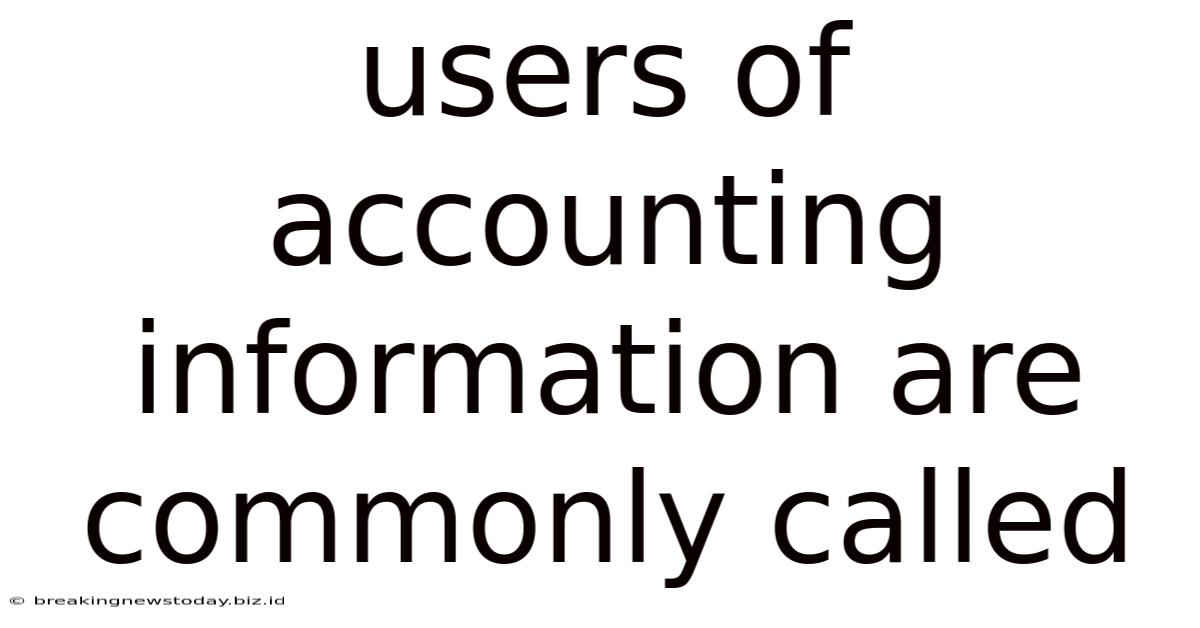 Users Of Accounting Information Are Commonly Called