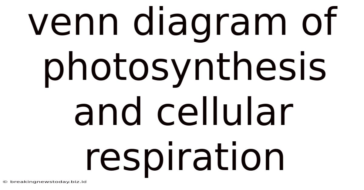 Venn Diagram Of Photosynthesis And Cellular Respiration