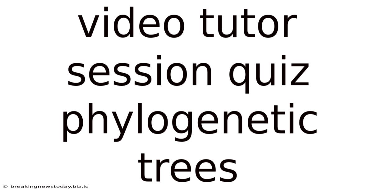 Video Tutor Session Quiz Phylogenetic Trees