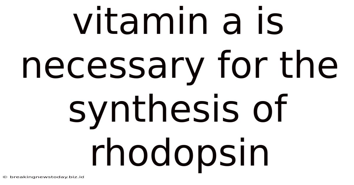 Vitamin A Is Necessary For The Synthesis Of Rhodopsin