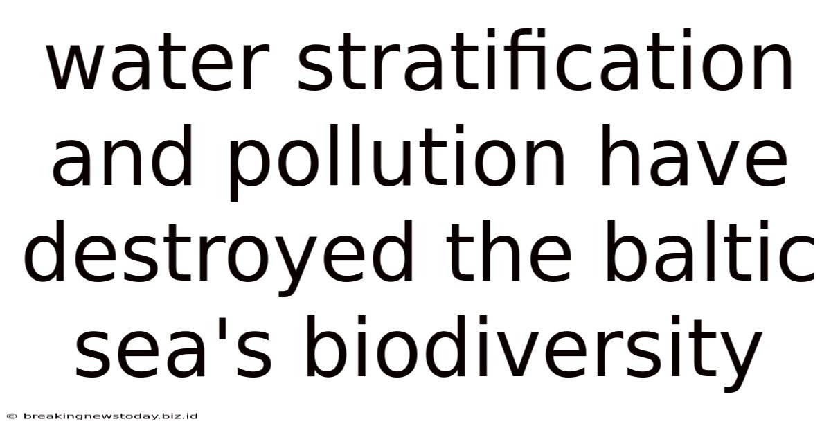 Water Stratification And Pollution Have Destroyed The Baltic Sea's Biodiversity
